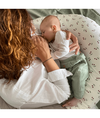 Cherry nursing and pregnancy cushion